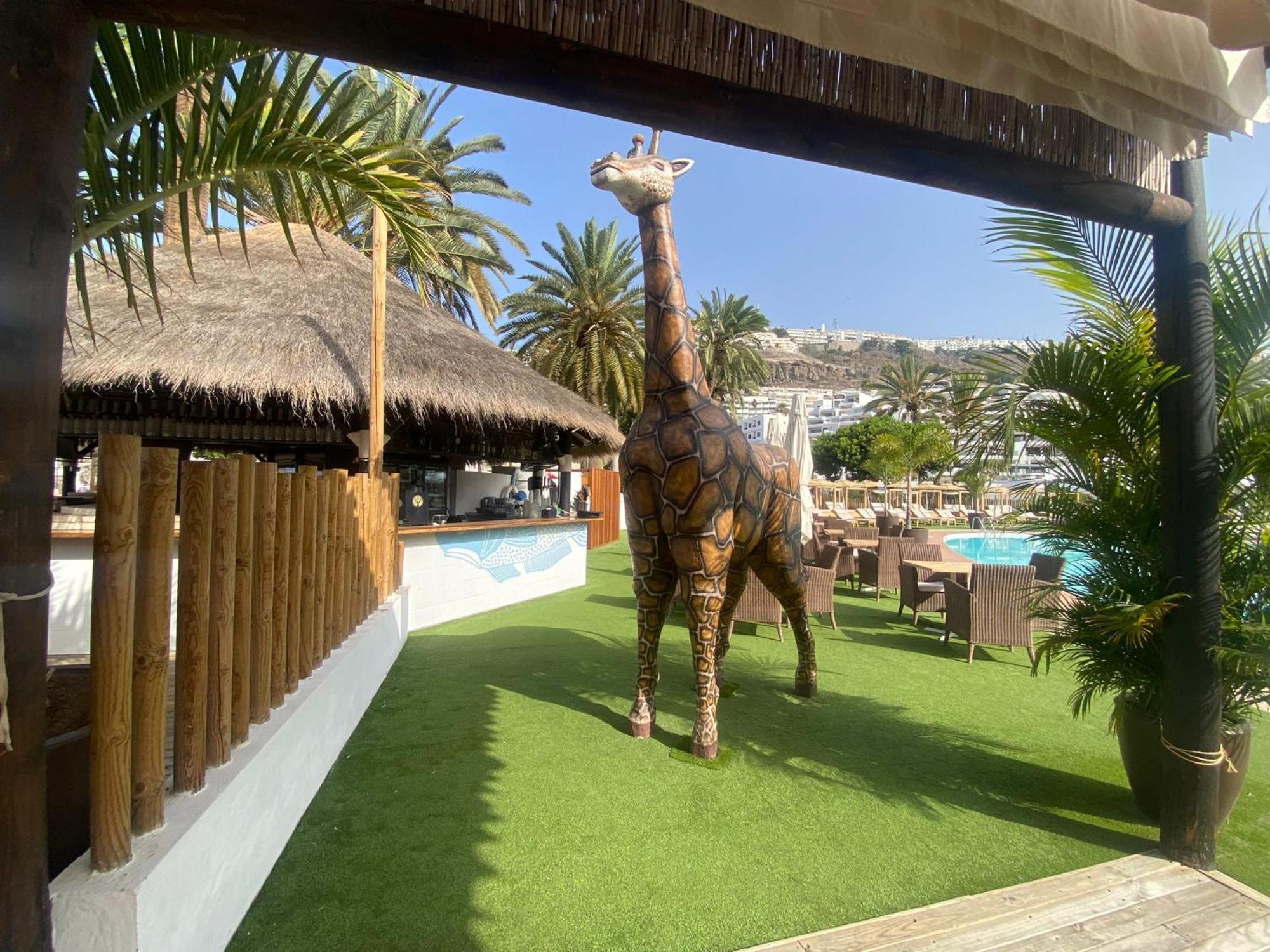 Modern Ground Floor Apartment , A Few Steps From The Beach Mogán Εξωτερικό φωτογραφία