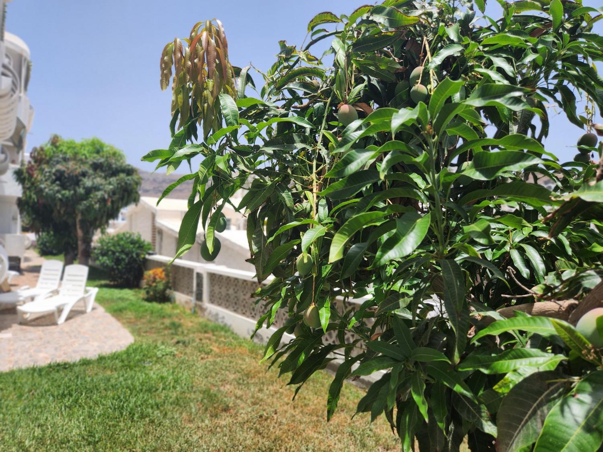 Modern Ground Floor Apartment , A Few Steps From The Beach Mogán Εξωτερικό φωτογραφία