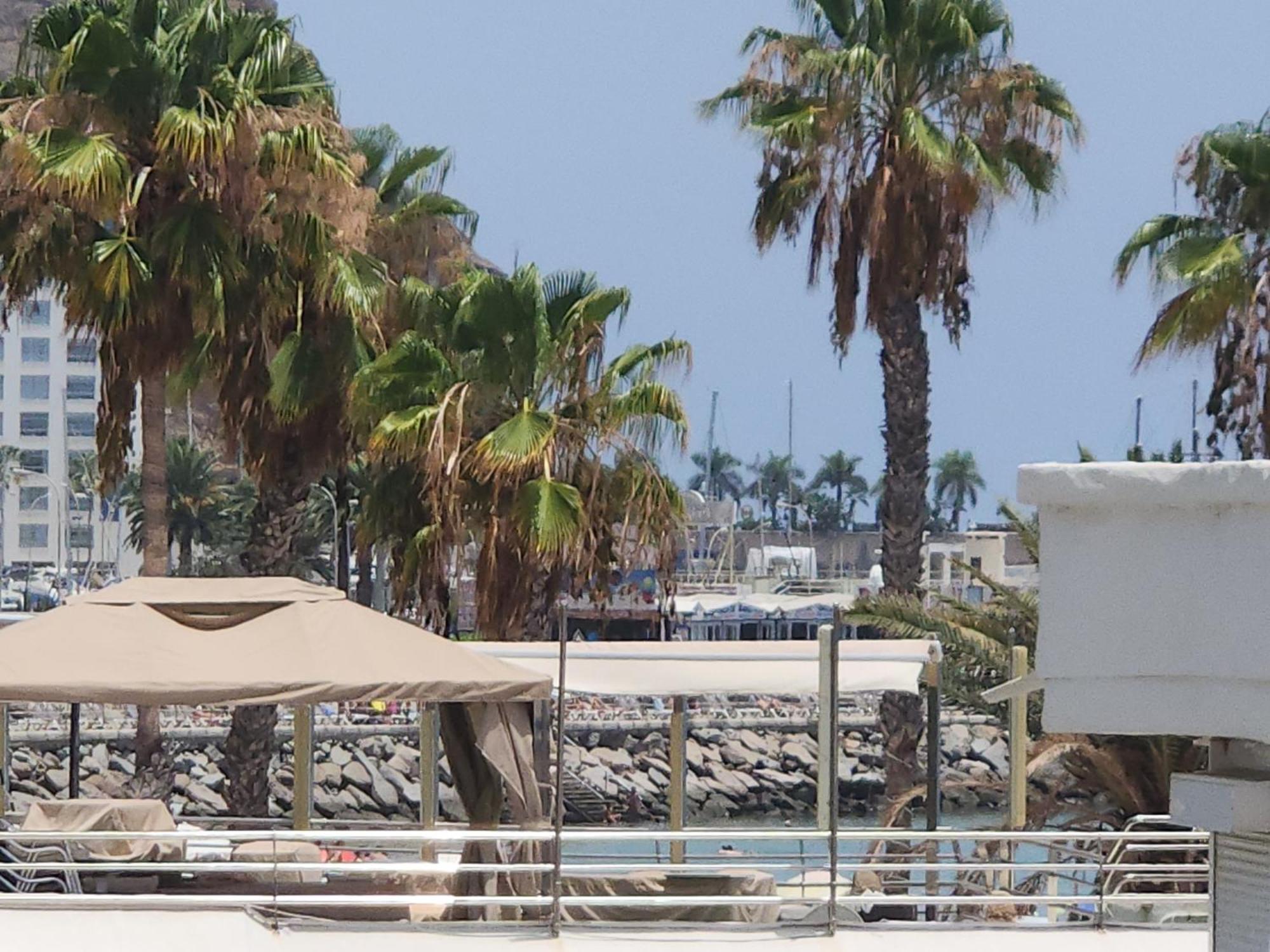 Modern Ground Floor Apartment , A Few Steps From The Beach Mogán Εξωτερικό φωτογραφία